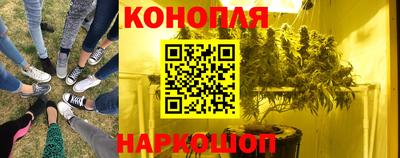 крисы Добрянка