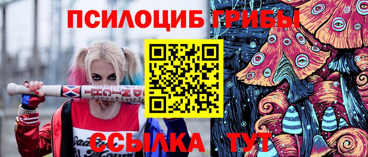 Галлюциногенные грибы мицелий Балабаново