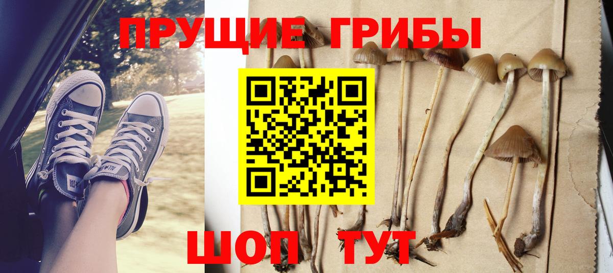 сколько стоит  Псилоцибиновые грибы ЛСД  Вход с VPN  Балабаново 